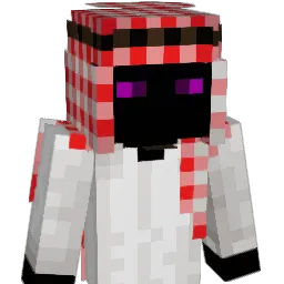 LiamAbi Minecraft avatar bust