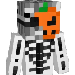 Liam_Spelar22 Minecraft avatar bust