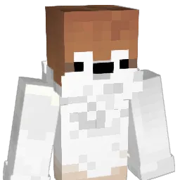 Lian1118 Minecraft avatar bust