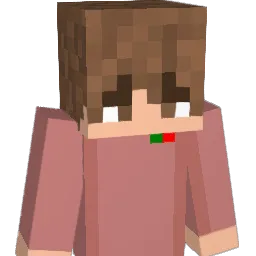 Liddss Minecraft avatar bust