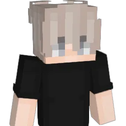 Lieferdatum Minecraft avatar bust