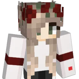 Life120's Minecraft skin