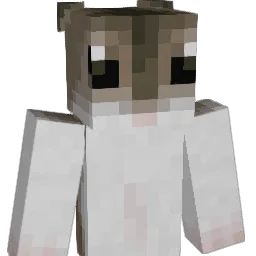 Light0212 Minecraft avatar bust
