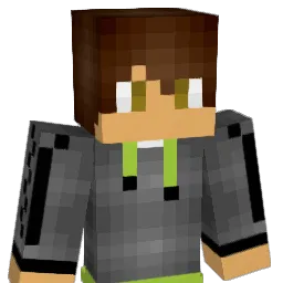 Lightening1127 Minecraft avatar bust