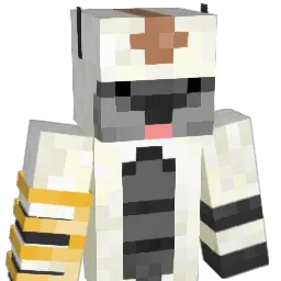 Lightning1123 Minecraft avatar bust