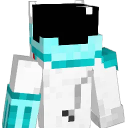 LilHealey's Minecraft skin