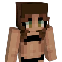 LilKebaBinYou Minecraft avatar bust