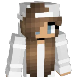 LilMinerz Minecraft avatar bust