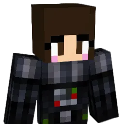 LilVader87 Minecraft avatar bust