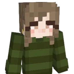 Lil_Brn Minecraft avatar bust