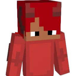 Lil_Na5_x Minecraft avatar bust