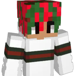 Lil_hdf Minecraft avatar bust