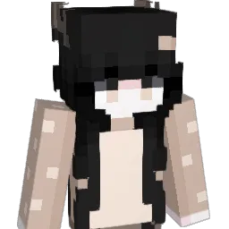 Lil_ishga Minecraft avatar bust