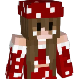 Lil_net27 Minecraft avatar bust