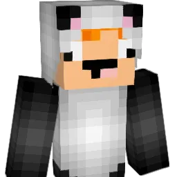 LillTokken Minecraft avatar bust