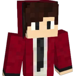 Lillebr0r1 Minecraft avatar bust