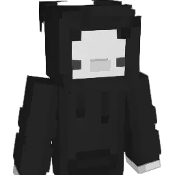 Lillers16 Minecraft avatar bust