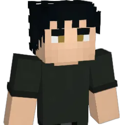 Lillius31 Minecraft avatar bust