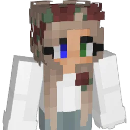 Lilou34 Minecraft avatar bust