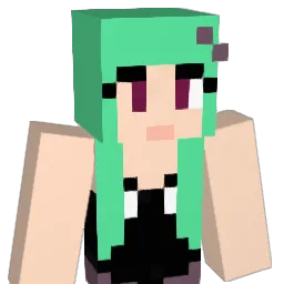 Lilyflower1 Minecraft avatar bust