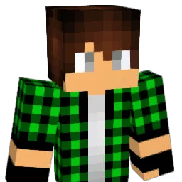 Lime_00 Minecraft avatar bust