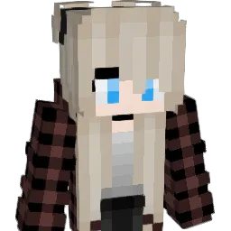 LinX640 Minecraft avatar bust