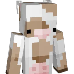 LinZorro Minecraft avatar bust