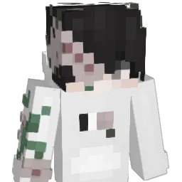 Lingfang2333 Minecraft avatar bust