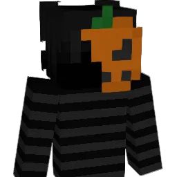 LinhWild25qUwU Minecraft avatar bust
