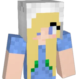 Lins312 Minecraft avatar bust
