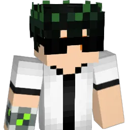 Lipe4009 Minecraft avatar bust