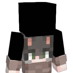 Lirt1218 Minecraft avatar bust