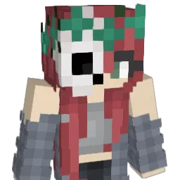 Litchies Minecraft avatar bust