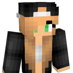 Litenezz13 Minecraft avatar bust