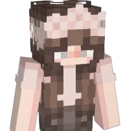 LithiumRocks's Minecraft skin