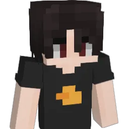 Litispendencia Minecraft avatar bust