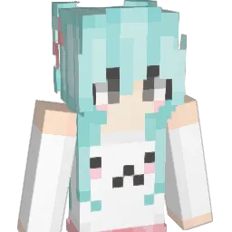 Litrock78 Minecraft avatar bust