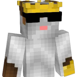 LittleBrother81 Minecraft avatar bust