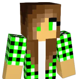 LittleOne30 Minecraft avatar bust