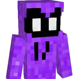 Little_Bug11 Minecraft avatar bust