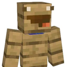 Lix_P00's Minecraft skin