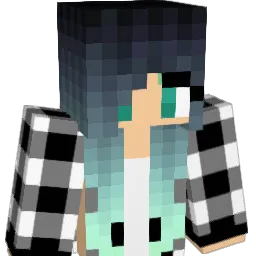 Lizcraft1 Minecraft avatar bust