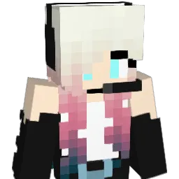 Ljaden17 Minecraft avatar bust