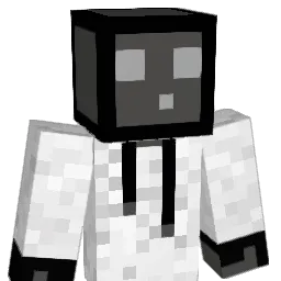 Ljs555 Minecraft avatar bust