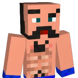 LlamaSWAG Minecraft avatar bust