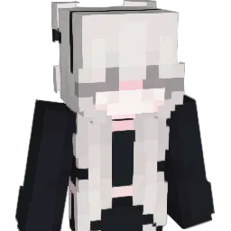 LocallySalt Minecraft avatar bust