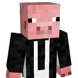 Locusowo's Minecraft skin
