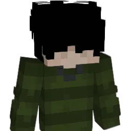 Logistical Minecraft avatar bust