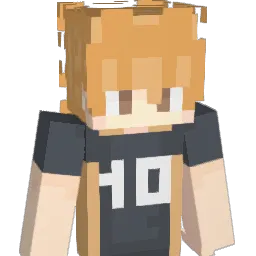 Lokir1995 Minecraft avatar bust