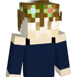 Lookr